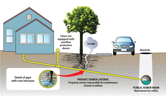 The Lucrative Side of Drain Cleaning